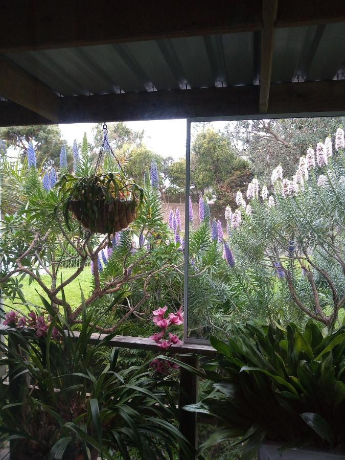 Lakes Entrance Waterfront Cottages With King Beds Экстерьер фото