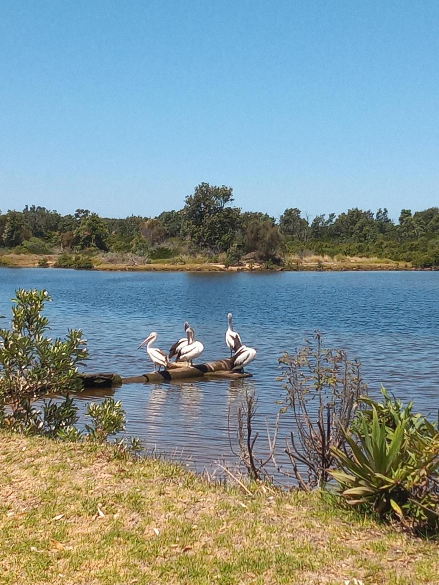 Lakes Entrance Waterfront Cottages With King Beds Экстерьер фото