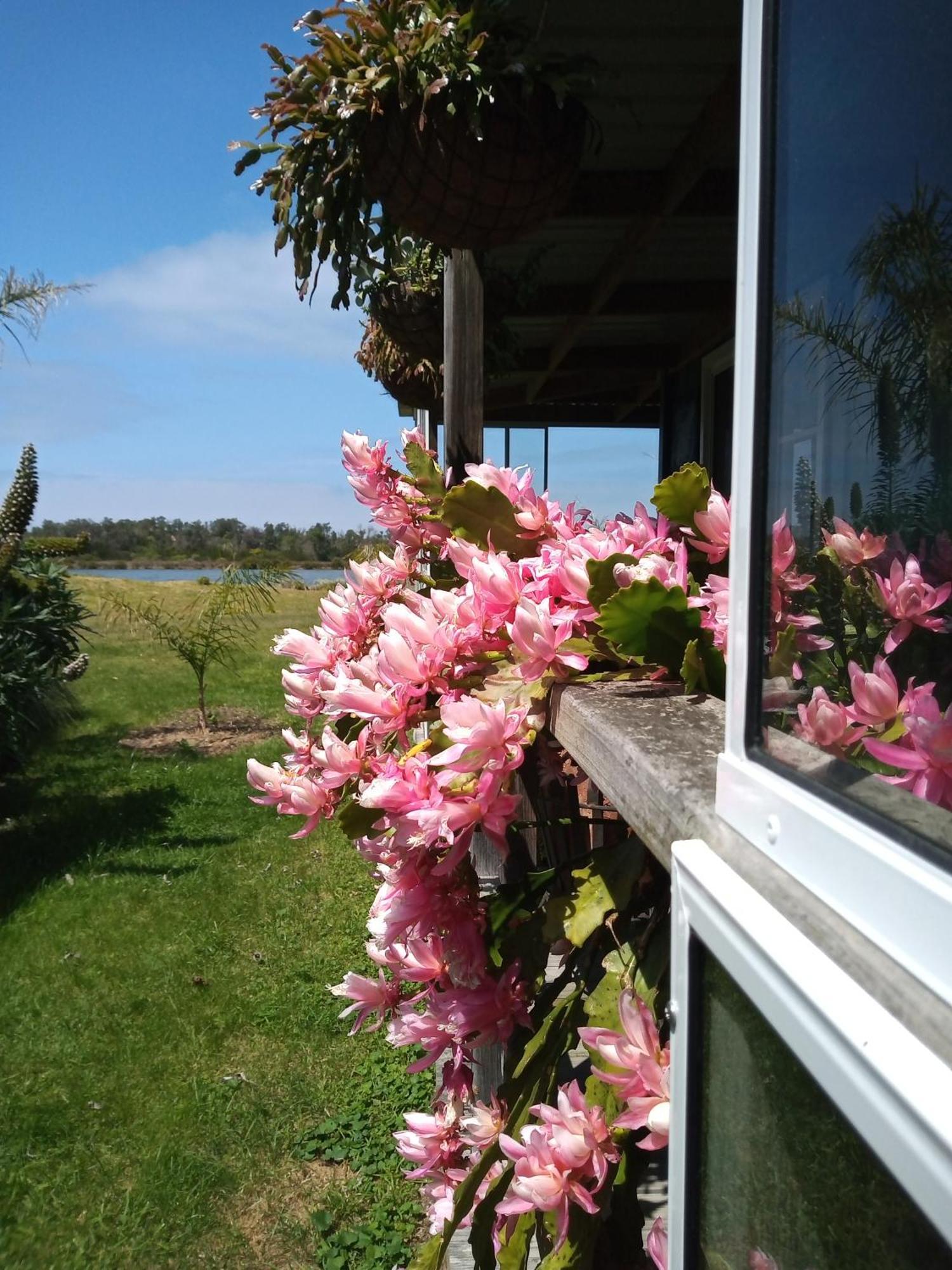 Lakes Entrance Waterfront Cottages With King Beds Экстерьер фото