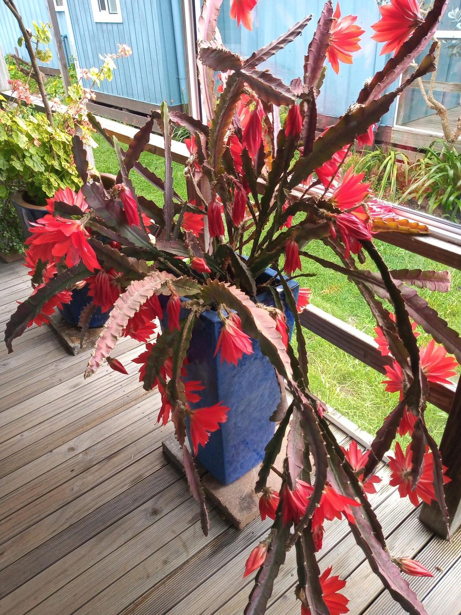 Lakes Entrance Waterfront Cottages With King Beds Экстерьер фото
